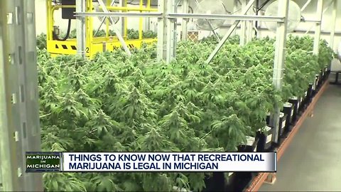 Things to know now that recreational marijuana is legal in Michigan