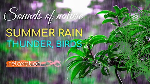 Summer rain, thunder, birds 💧 Sounds of nature ☀️ Relaxation