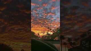 San Diego Sunset tiktok illbebacklaterbye