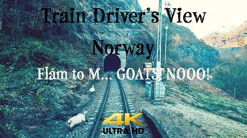 TRAIN DRIVER'S VIEW: Flåm valley, autumn colors and goats on the track