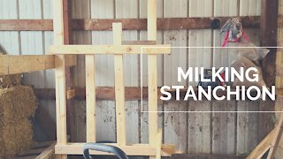 Milking Stanchion build