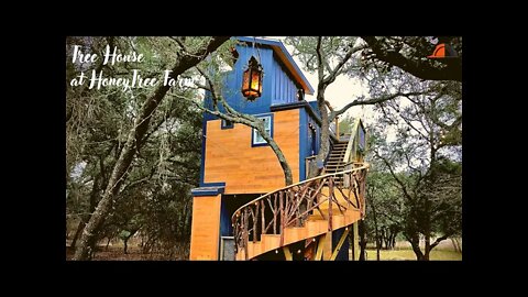 Amazing and Very Cozy Tree House - Acorn Treehouse at HoneyTree Farm Tiny House