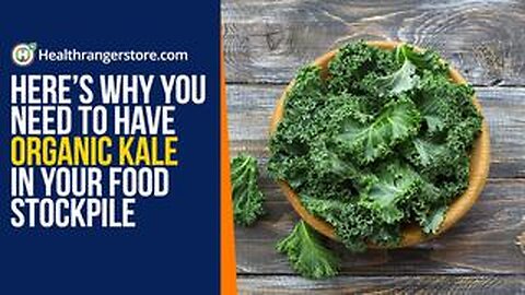 Here’s why you need to have Organic Kale in your food stockpile