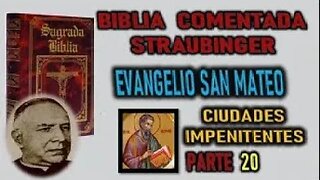 CIUDADES IMPENITENTES BIBLIA STRAUBINGER EVANGELIO SEGUN SAN MATEO