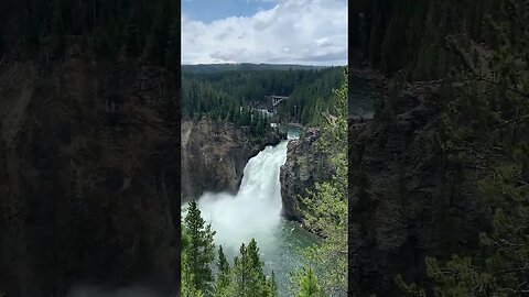 Stunning Waterfall | Yellowstone National Park #shorts #short