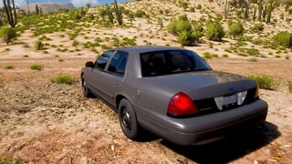 Ford Crown Victoria - Forza Horizon 5