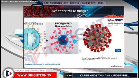 Karen Kingston: Quantum Dots in COVID-19 Injections - The Zelenko Report - October 20, 2022