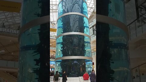 World's Tallest Fish Tank Russia Moscow Aviapark #russia #moscow #fishtank