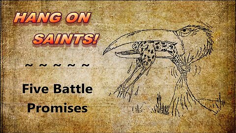 Hang On Saints — Five Battle Promises