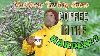 Coffee Fertilizer for Cultivating? (The Grow Variety Show ep.234)