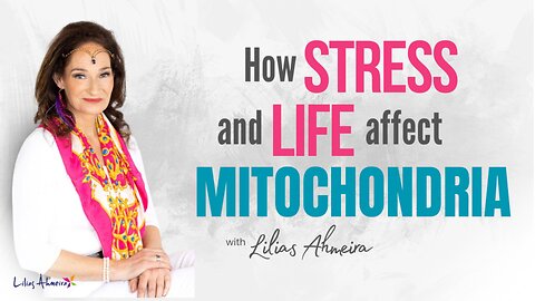 How Stress and Life Affect Mitochondria Part 2