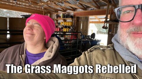 The Grass Maggots Rebelled | Big Family Homestead