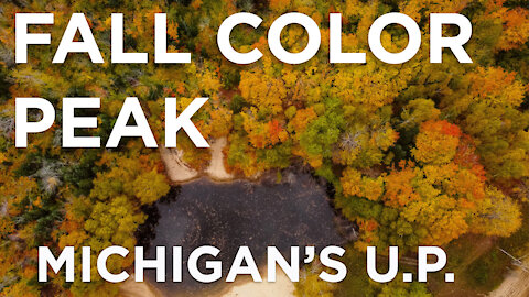 Fall Leaves at Peak In the Michigan Upper Peninsula-Photography Tips and Tricks included