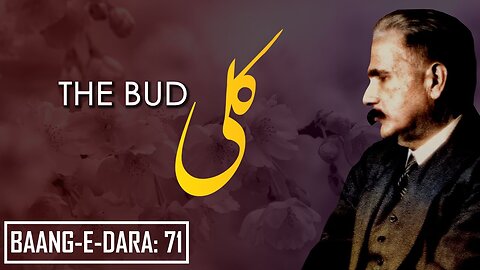 Baang-e-Dara__71___The_Bud___Kali___Allama_Iqbal___Iqbaliyat___AadhiBaat(360p)