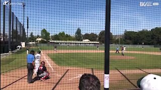 Un pigeon fait les frais d'un match de baseball