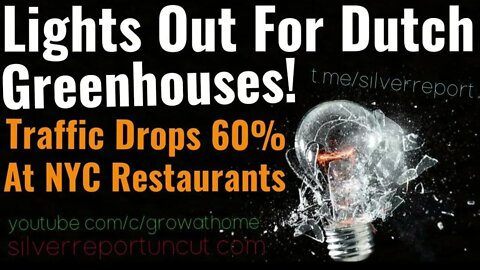 Power Cuts At Dutch Greenhouses, Worlds 2nd Largest AG Exporter, Traffic Plummets NYC Restaurants