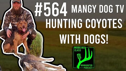 Mangy Dog TV #564 #workingclassbowhunter