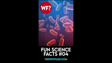 Fun Science Facts 04 - The Why Files #shorts
