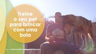 Treine o seu pet para brincar com uma bola.