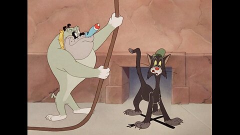 Bad Luck Blackie | Tex Avery Cartoon 👈🏻🤣🤣