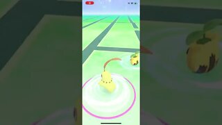 Shiny Chikorita