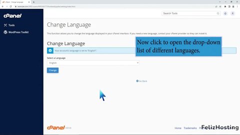 How to change the language in cPanel with FelizHosting
