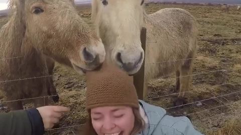 Funny Horse Pulls a Beanie Off a Woman’s Head