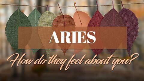 Aries♈ Trust in your lover! They need to balance their life & when they do they're coming for you!