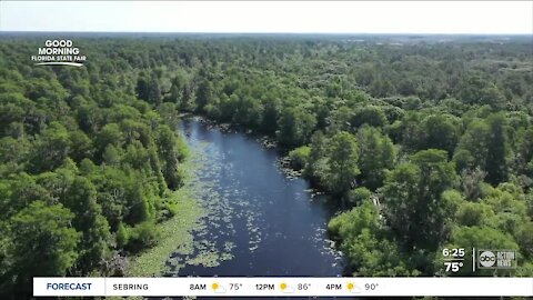 Walking Club: Exploring Lettuce Lake Park