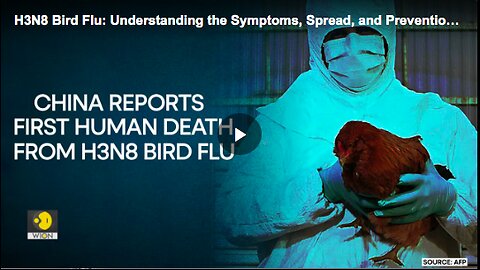 H3N8 Bird Flu: Understanding the Symptoms, Spread, and Prevention of the Virus