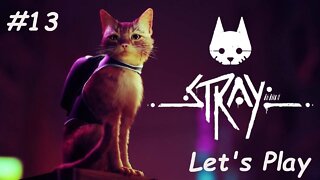 Let's Play - Stray - Part 13