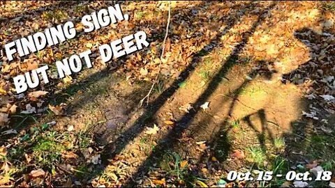 Finding Deer Sign, Not the Deer | Wisconsin Mid October Deer Update