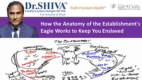 Recap Establishment Eagle Anatomy