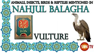 Vulture - Animals, Insects, Reptiles & Amphibians in Nahjul Balagha (Peak of Eloquence)#imamali