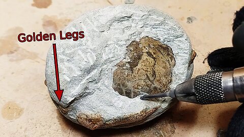 Golden leg fossil prep - Makers' Challenge 2023
