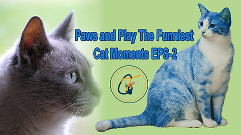 Paws and Play The Funniest Cat Moments EPS-2