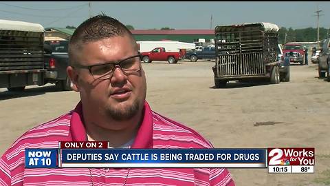 Deputies say cattle being traded for drugs