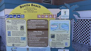 Beach Walks in Paradise- Bonita Beach, Florida- 11/7/2021- #4K #ASMR #Walks #BeachWalks #FYP￼