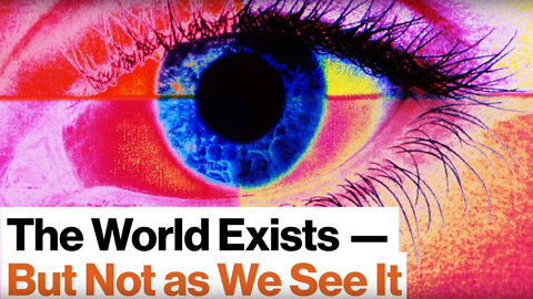 Beau Lotto - The World Exists BUT Not As We See It