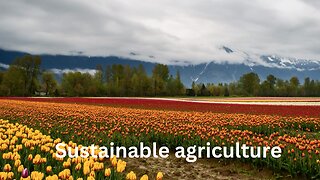 What is Sustainable Agriculture?