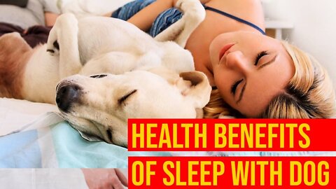 10 Health Benefits Of Letting Your Dog Sleep On Your Bed