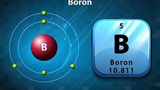 The Borax (Boron) Conspiracy