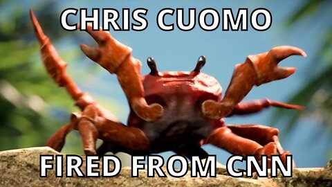 Chris Cuomo Gets FIRED From Fake News CNN