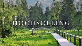 The arrival of spring in the Hochsolling / Germany - A silent Hiking Video