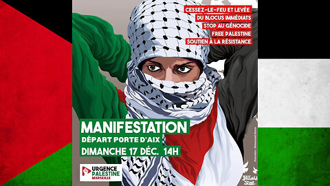 Manif pro Palestine à Marseille - 17 déc. 2023, commentée par Salim Laïbi