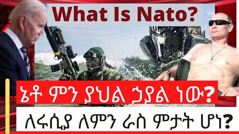 What is NATO? ኔቶ ምን ያህል ኃያል ነው? ለሩሲያ ለምን ራስ ምታት ሆነ?