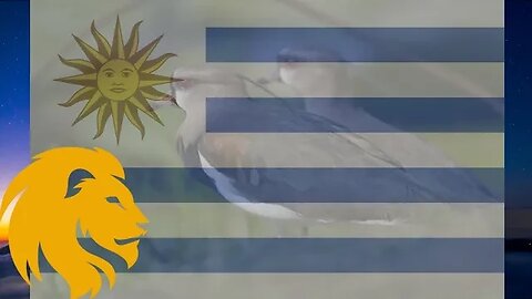 National Anthem Of Uruguay 🇺🇾 *Himno Nacional De Uruguay* Instrumental Version