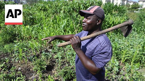 Farmers in Africa say their soil is dying and chemical fertilizers are in part to blame