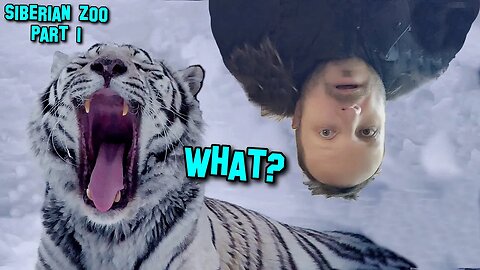 Siberian Zoo. Part 2. Everything is upside down!