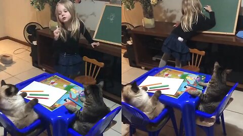 Little Girl Teaching Her Cats How to Draw a Flower